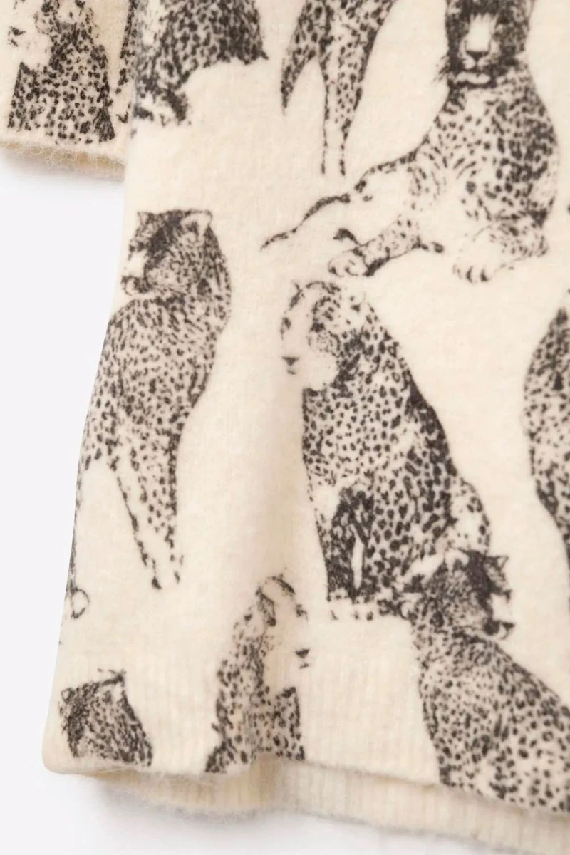Sueter leopardos